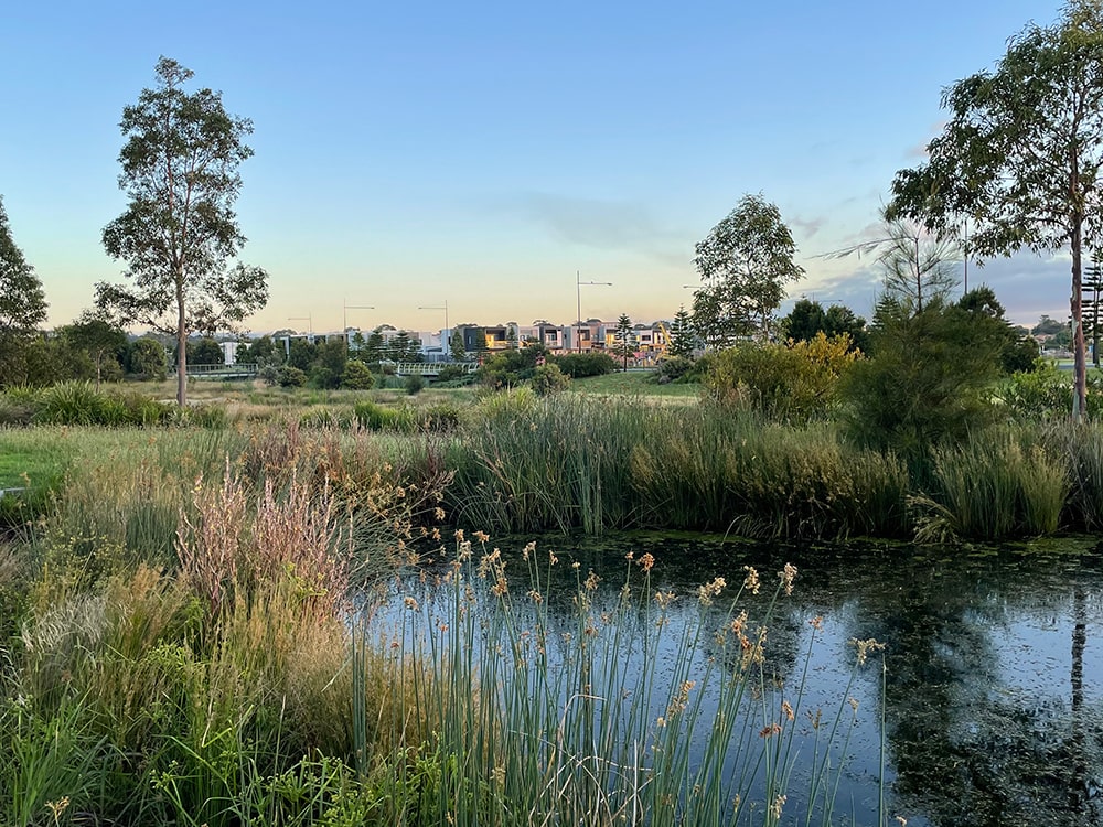 Wetlands